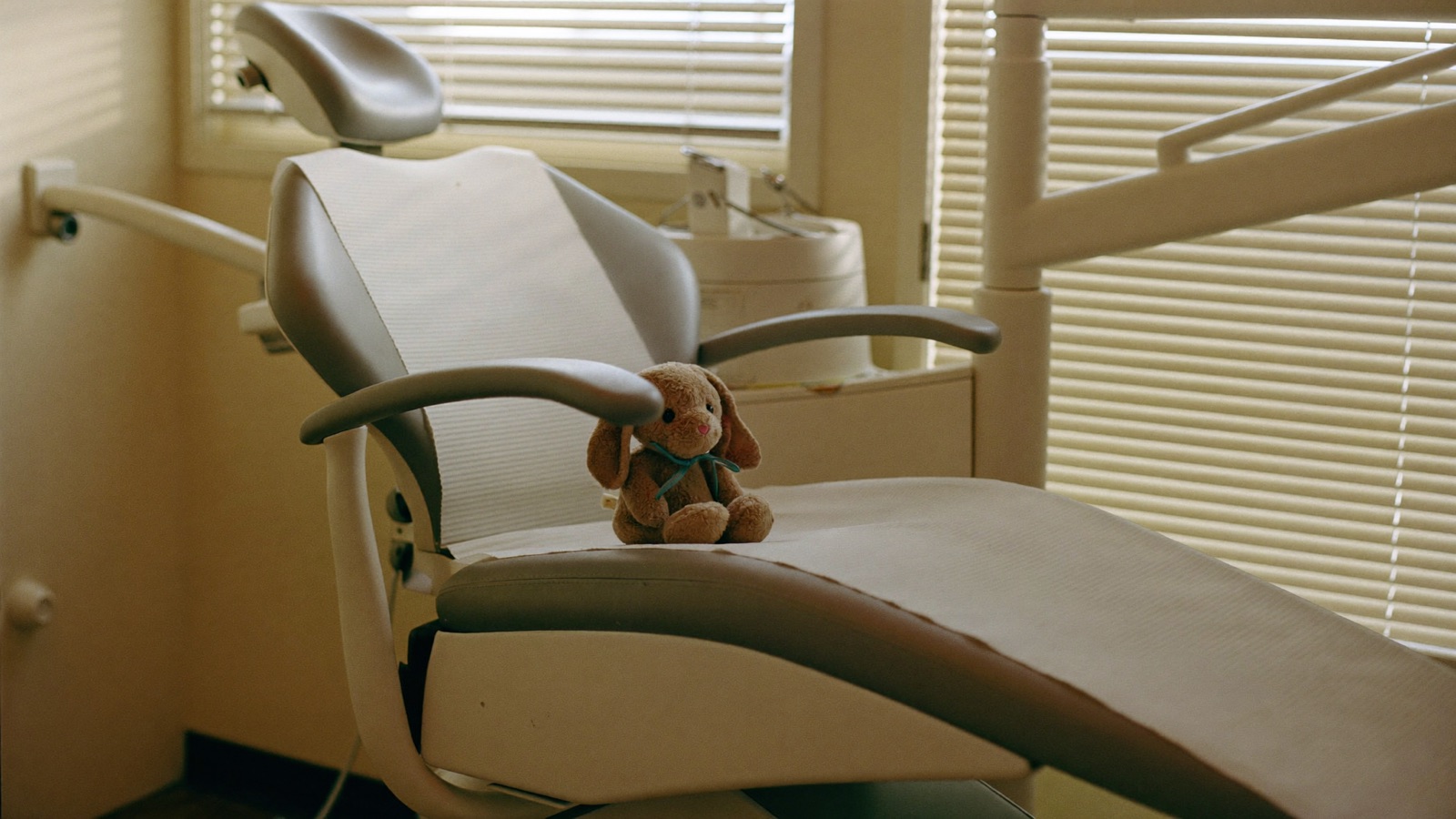 A small stuffed rabbit sitting alone on a large empty dental chair in a quiet room with sunlight through the blinds.